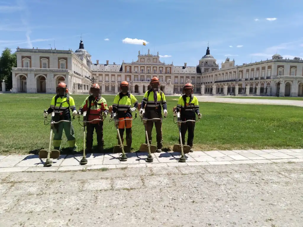 Selvícola Equipo